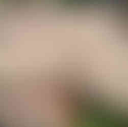 Transhumance à Névache