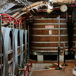 Cave du palais bénédictine