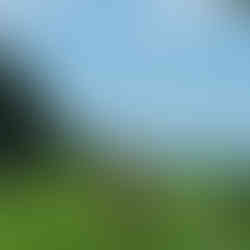 Manon durant la randonnée des échelles