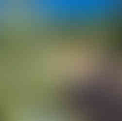 Randonnée la Sainte Victoire