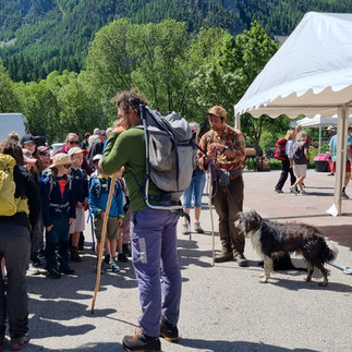 Transhumance à Névache