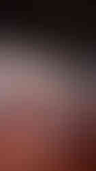 Visite de la Maison des Vautours