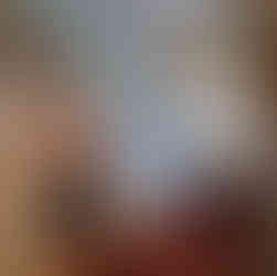 Visite du Palais Bénédictine