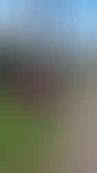 La plaque du vélo Baptiste "Odyssey"