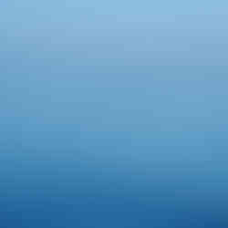 Dauphin Ă Ile d'Ouessant