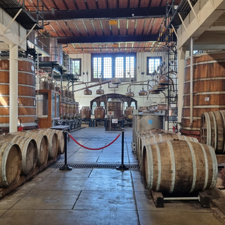 Cave du palais bénédictine