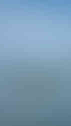 Une mouette catalane attendant son pêcheur