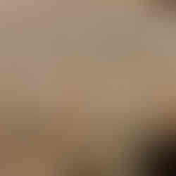 Impressionnante vue de la salle d'affinage