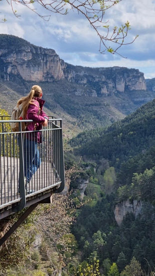 Manon contemple les vautours dans leur espace naturel