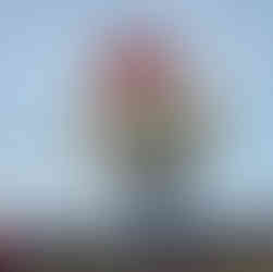 Mondial Air Ballon - Edition 2023