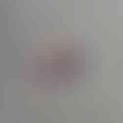 Photo prise dans le vieux port