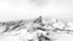 4029449_edited.jpg