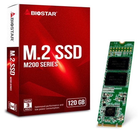 Biostar M200-120GB