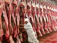 Pecuaristas rejeitam imposição de novas regras sanitárias da União Europeia