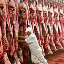 Pecuaristas rejeitam imposição de novas regras sanitárias da União Europeia