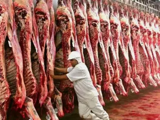 Pecuaristas rejeitam imposição de novas regras sanitárias da União Europeia
