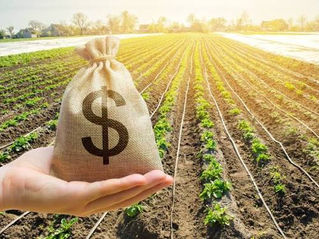 Entidades do agro pedem criação de Fundo Garantidor de custeio