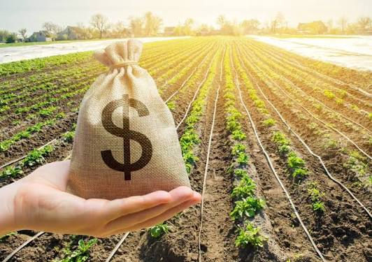 Entidades do agro pedem criação de Fundo Garantidor de custeio
