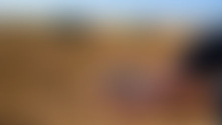 Oferta global de grãos pressiona preços e margens dos produtores