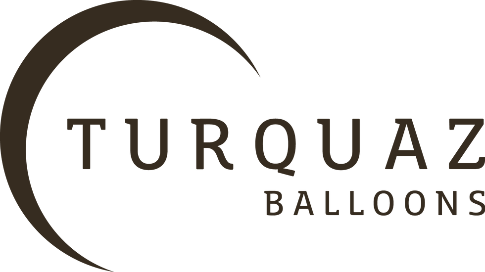 turquazbalonlogo1 ert-01 copydf.png