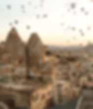 Sultan web photo 2_edited.jpg