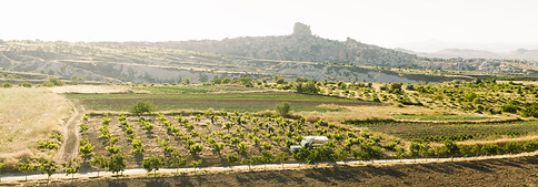 DJI_20260629182057_0198_D 2026-06-30 21.06.47 (1).jpg