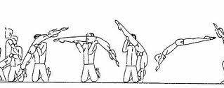 PEDAGOGÍA Y DIDÁCTICAS DE  LA GIMNASIA