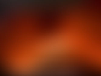 Bangladeshi Family-Owned Indian Restaurant Offering Catering in Minneapolis