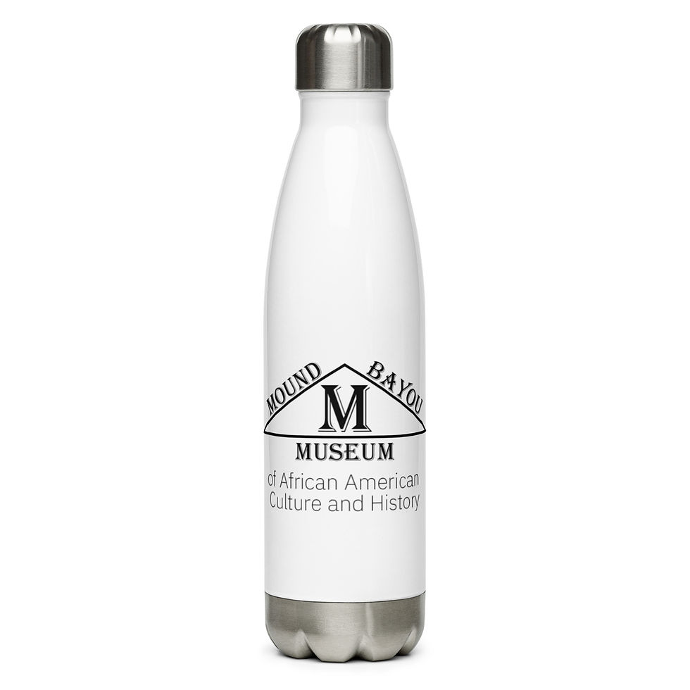Stainless Steel Water Bottle