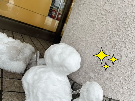 米子市観光センター　本日も朝から雪です⛄