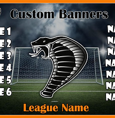 Custom banner ad.jpg