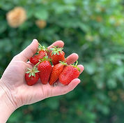 Fullscreen capture 10112019 85212 PM.bmp