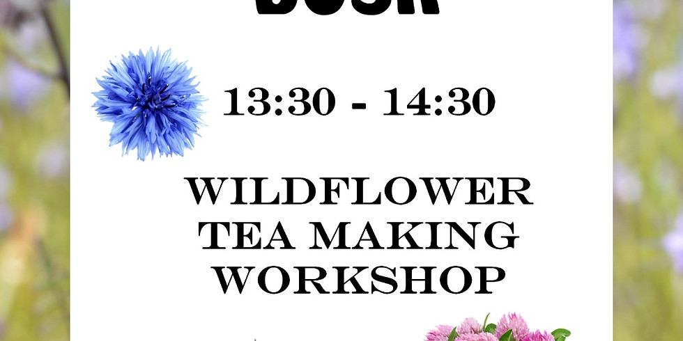 Tea making with Into the Gathering Dusk
