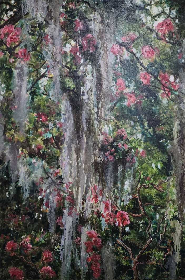 #38 - Bougainvillea in the Swamp