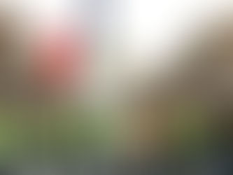 Sarı yelekliler kimler?