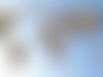 Dünyada potansiyel Yahudi sayısı 120 milyon