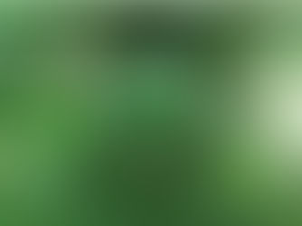 Corona virusune yakalanan Güney Koreliler İsrael'i ziyaret etti......