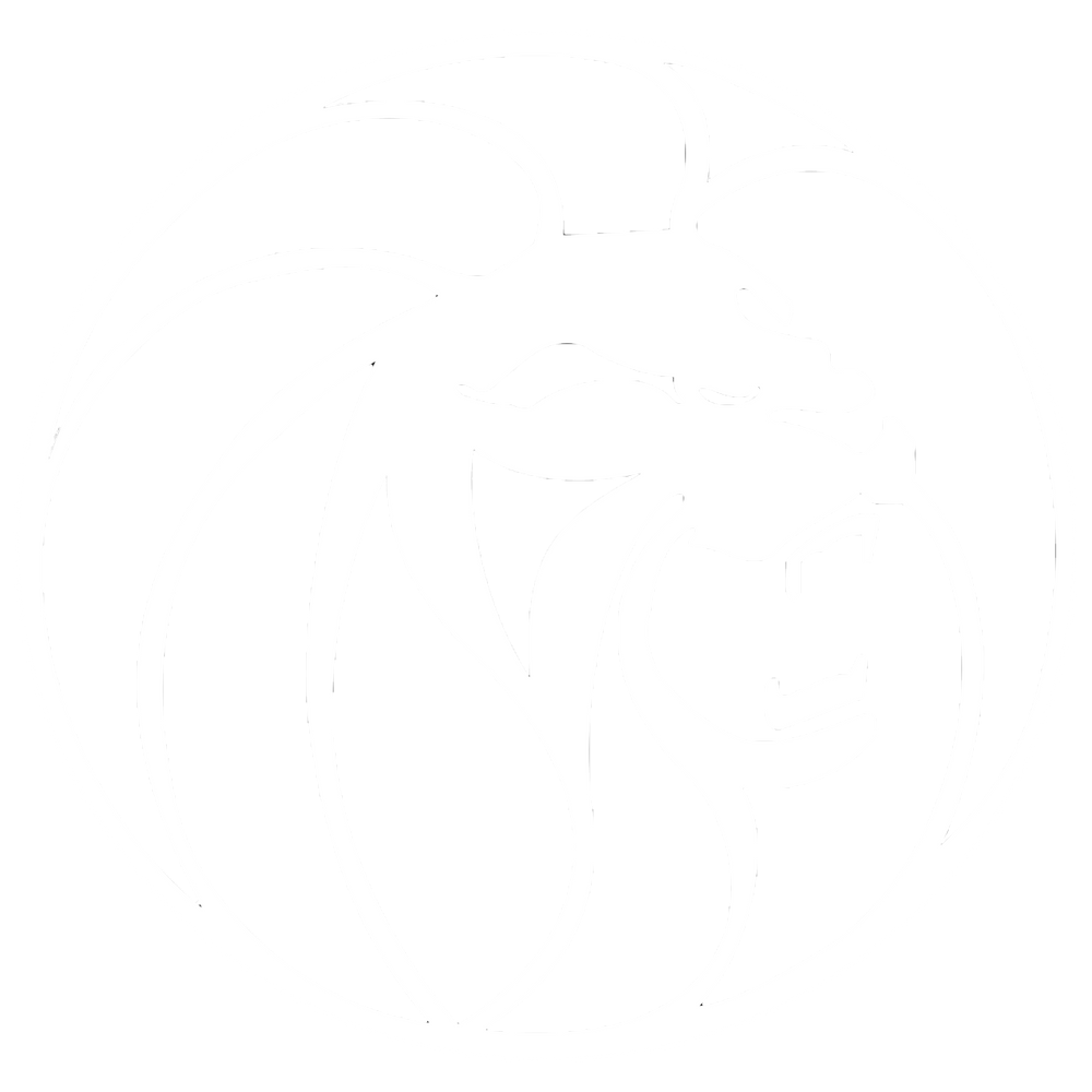 The MGM Resorts International Investment The MGM Resorts International Investment