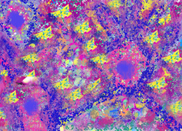 8758506B-8D96-49EA-B34D-E014852AB41F_1_201_a.jpeg