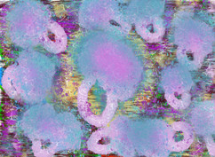 D6B36320-E30F-4B55-A907-3A8F7586D1DC_1_201_a.jpeg