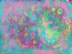 885DA9DA-AB5A-4425-AD7A-01E64C6750FD_1_100_o.jpeg