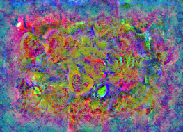 B35717C0-5C9B-4A38-8F5A-1187F4DDD2DB_1_201_a.jpeg