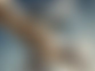 Elevate Your Business: M&A Evaluation with Scott Smith & Associates