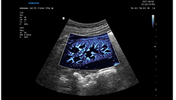 Screenshot (330).png