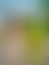 THE BODY RE-MEMBERS: Reflections on being named Èyàn Akínkánjú — Hero of Egbaland