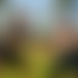 Best Personal Training for Weight Loss in California