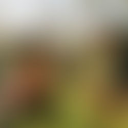 Best Transformation Programs in Orange County California