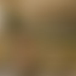 Where to Eat Healthy in a Hurry in Orange County: Trainer-Approved Picks