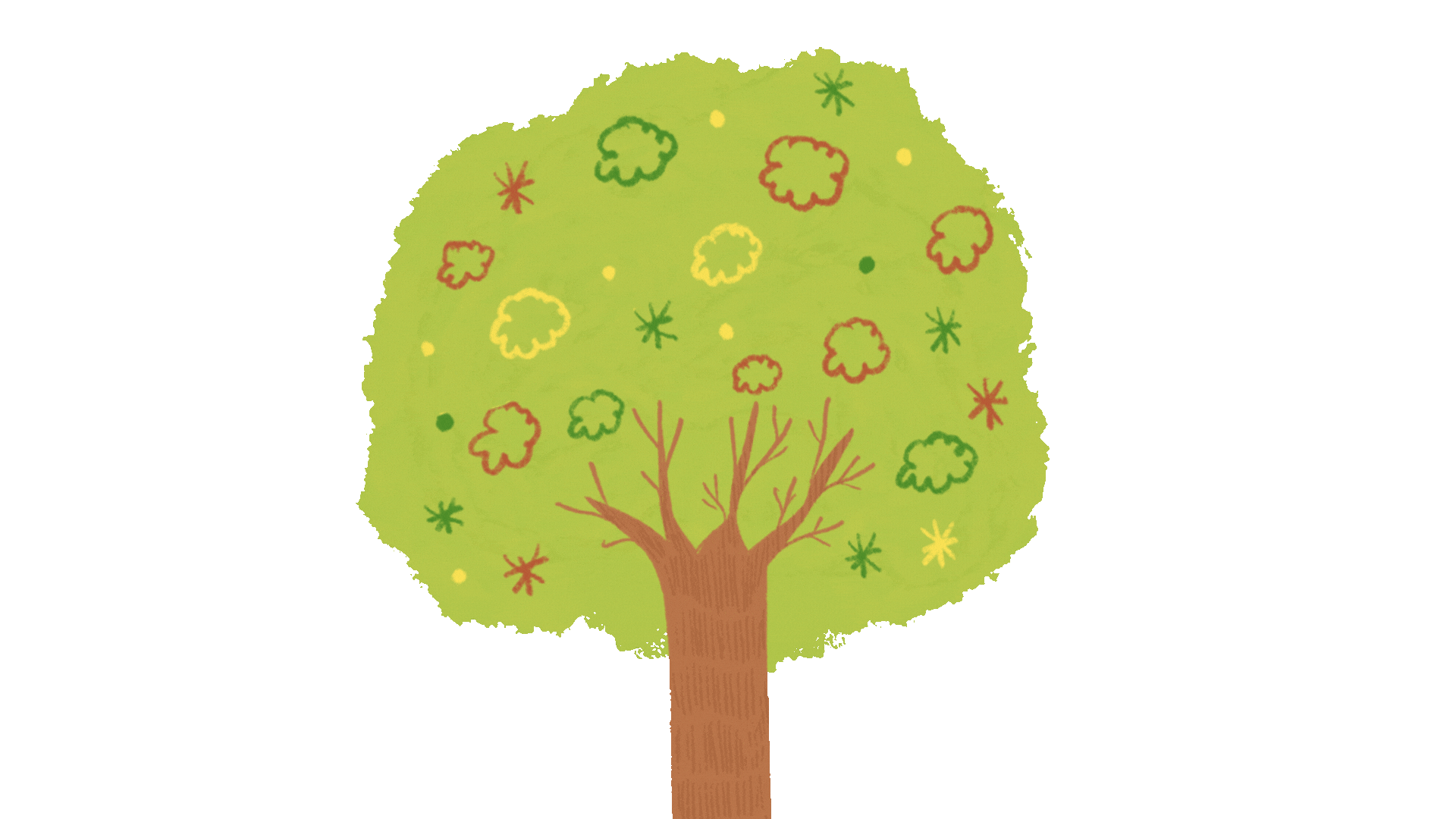 Robert for Congress Brand Guide.gif