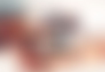 Se Connecter à son Animal : L’art de l’Harmonie Énergétique